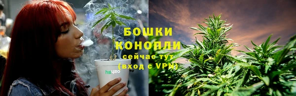 прущая мука Белокуриха