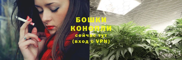 трава Беломорск