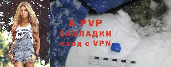 трава Беломорск