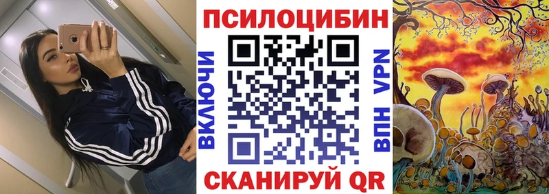 цена   Горно-Алтайск  гидра зеркало  Галлюциногенные грибы GOLDEN TEACHER 