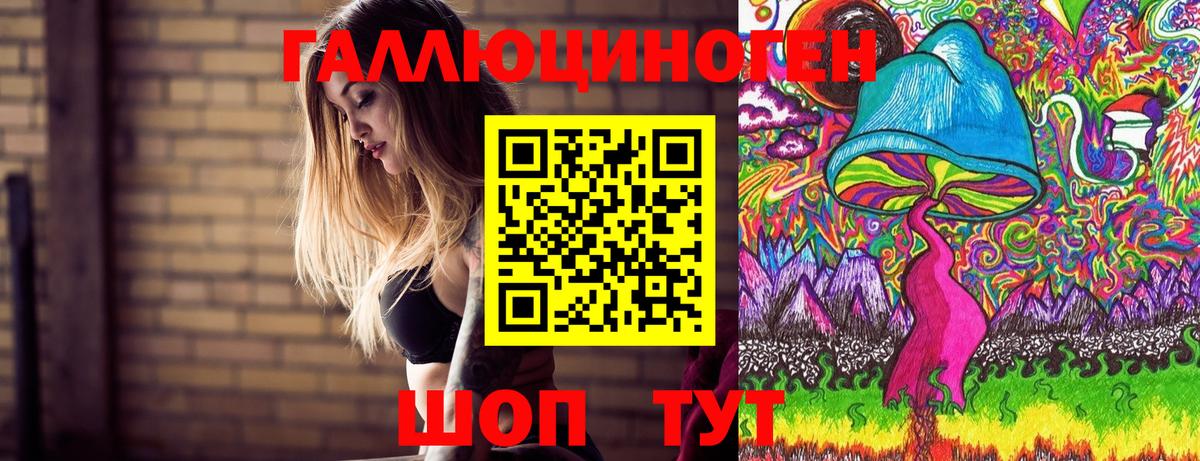 Псилоцибиновые грибы MAGIC MUSHROOMS Горно-Алтайск
